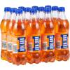 Irn Bru 500ml Case